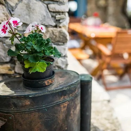 Romana Holiday home Vela Luka